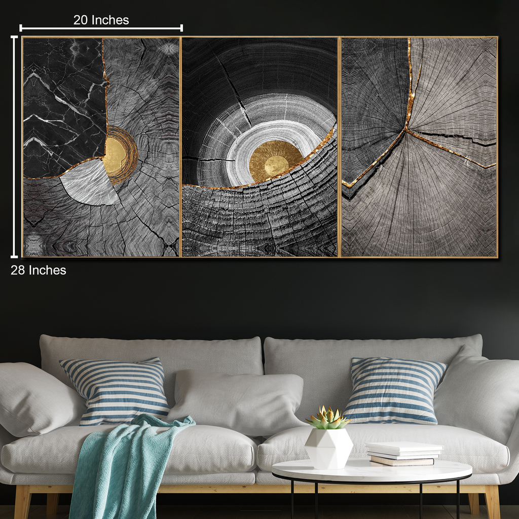 Timeless Rings Canvas wall paintings - Set of 3