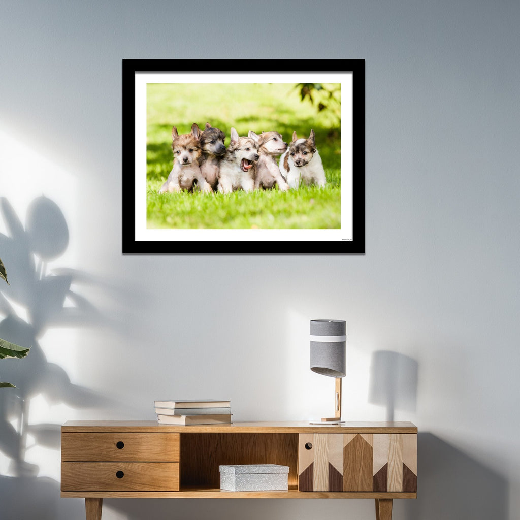 framed wall art