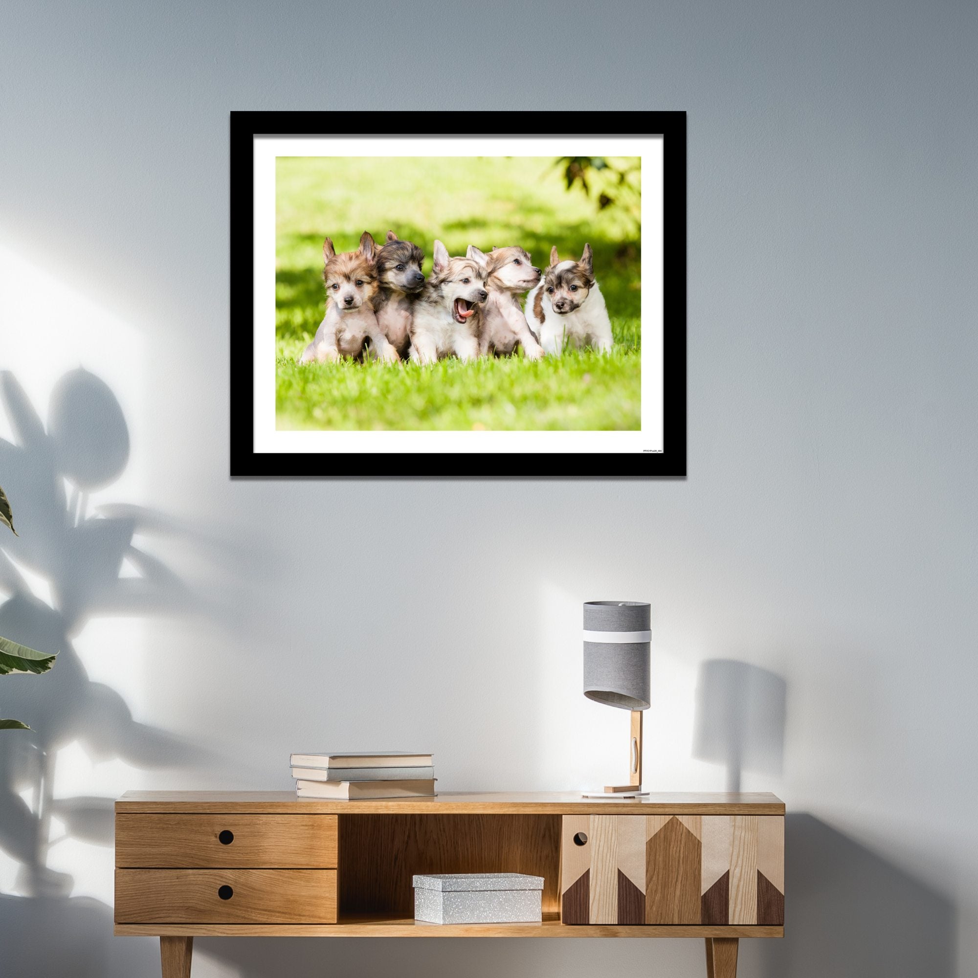 framed wall art