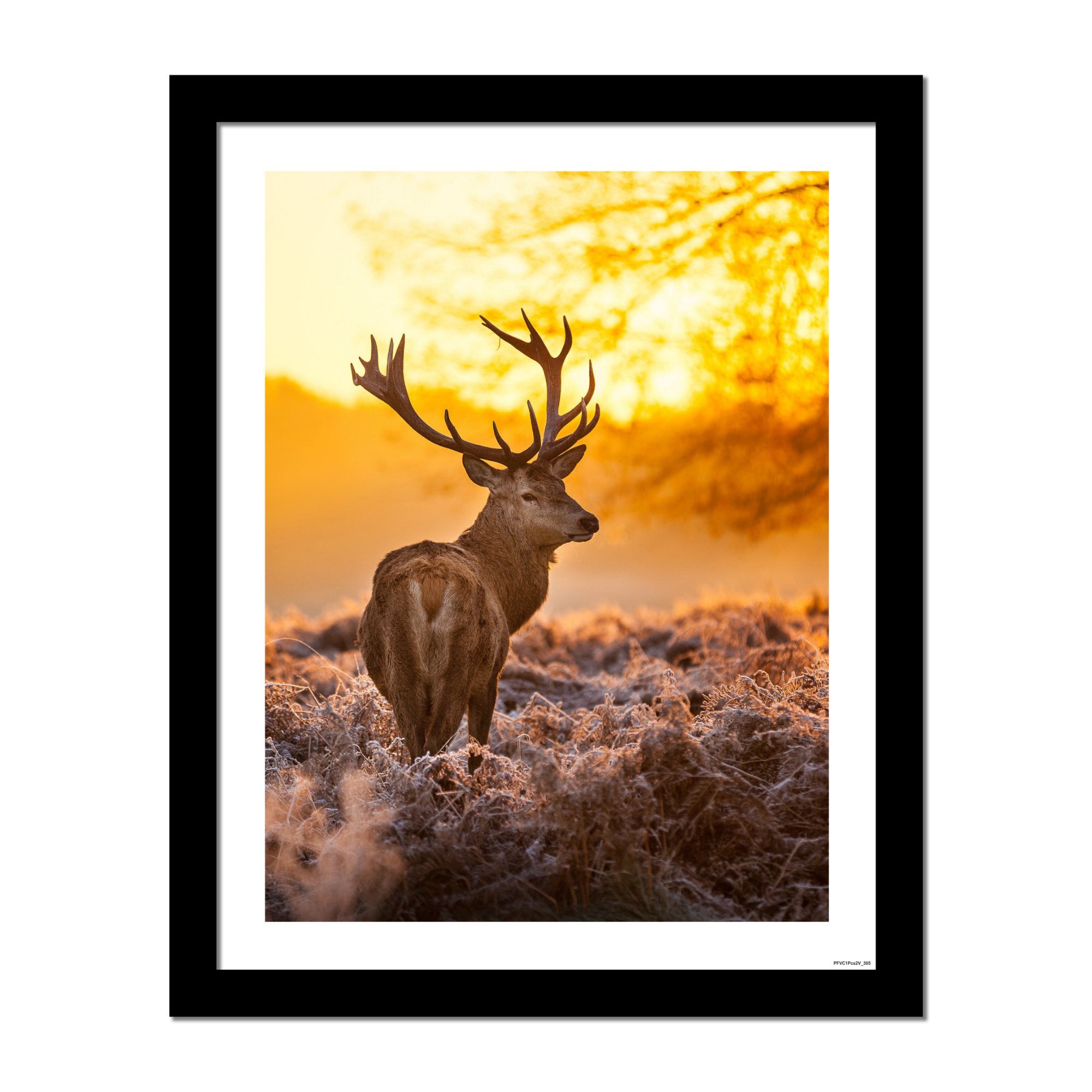 Premium Wall Frame Painting of Deer in Forest