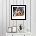 Wolf in Snow Premium Quality Wall Frame Painting