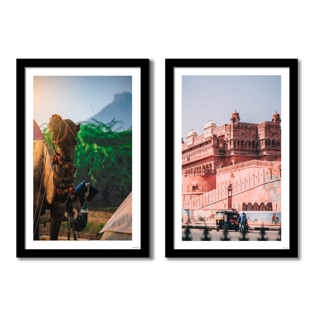 Junagarh Fort and Camel of Rajasthan Quality Frame Painting of 2 Pieces