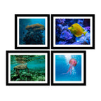 Marine Life Premium Wall Frame Hanging Set of 4