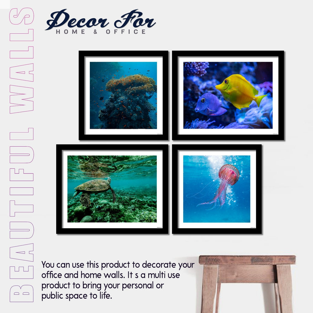 Marine Life Premium Wall Frame Hanging Set of 4