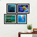 Marine Life Premium Wall Frame Hanging Set of 4