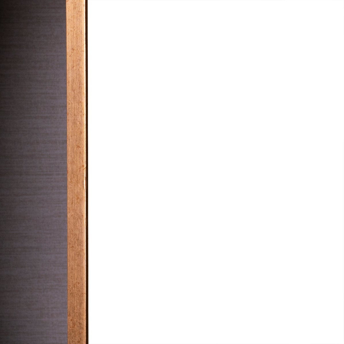 Timeless White Rose  Canvas Paintings